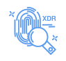 Extended Detection